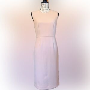 Ann Taylor Soft Pink Dress